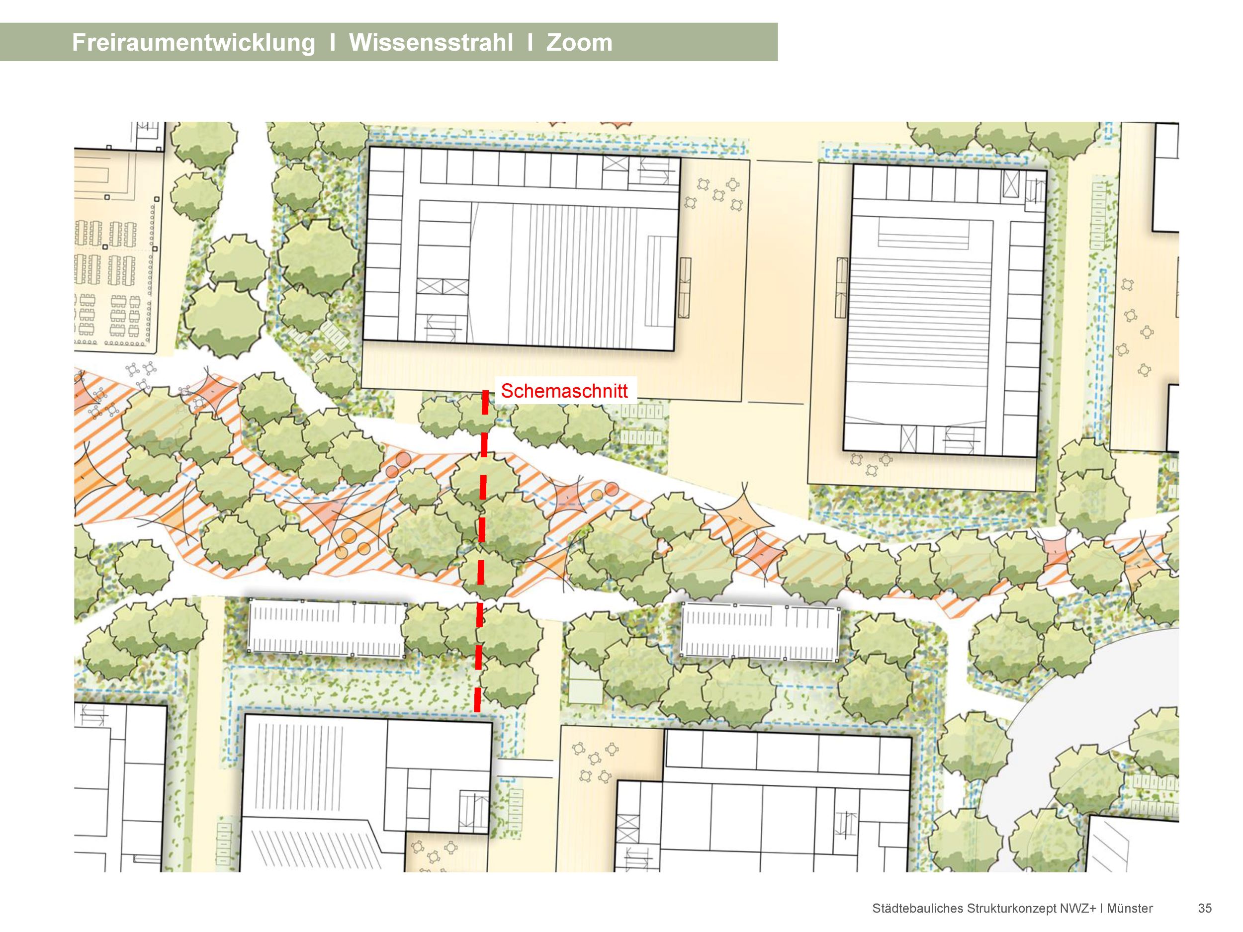 schreiberplan Stuttgart:  Stadt Münster  - Freianlagengestaltung städtebauliches Strukturkonzept NWZ+